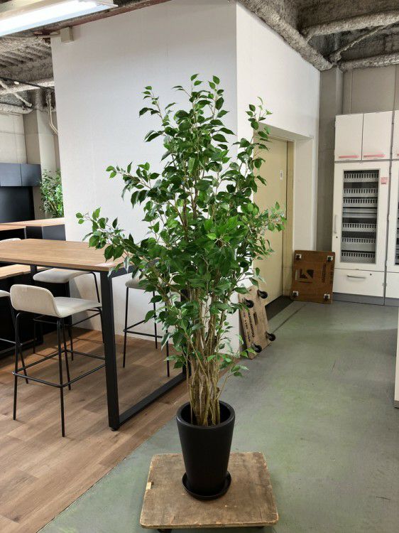 人工植物 商品画像1