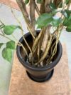 人工植物 商品画像6