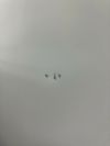 SEIKO FAMILY（生興） 40人用シューズロッカー 商品画像9