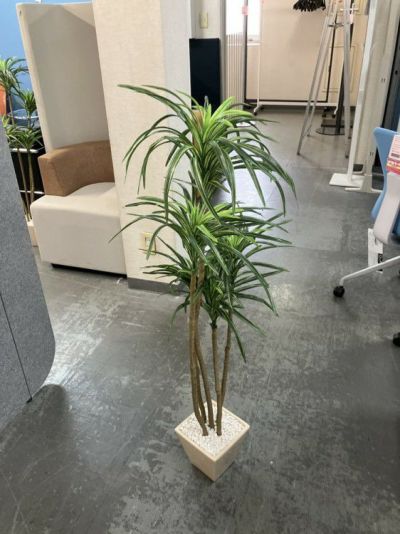 人工植物 商品画像1