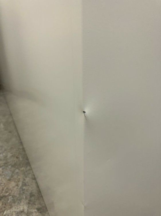 ライオン背面ロッカーシリーズ 12人用ロッカー 商品画像7