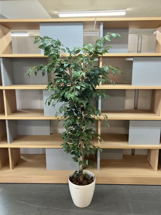 人工植物 商品画像1