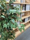 人工植物 商品画像4