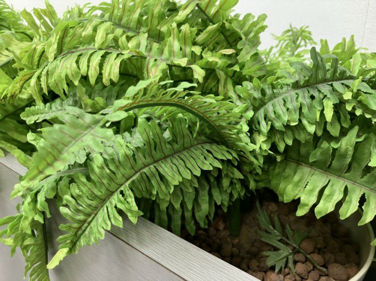 イトーキプランター 商品画像6