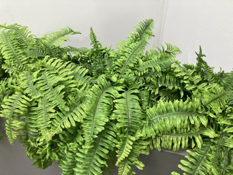 イトーキプランター 商品画像7