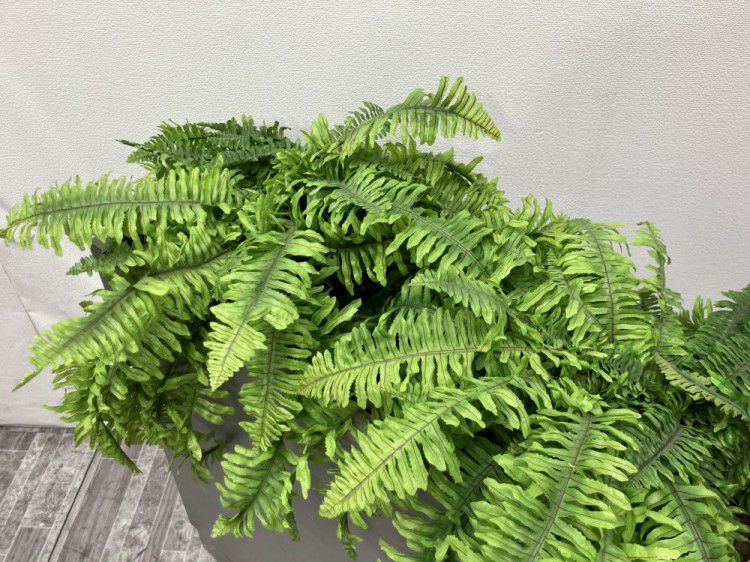 イトーキプランター 商品画像8