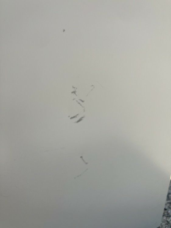 イトーキインターリンクRシリーズ 3600フリーアドレスデスク 商品画像13