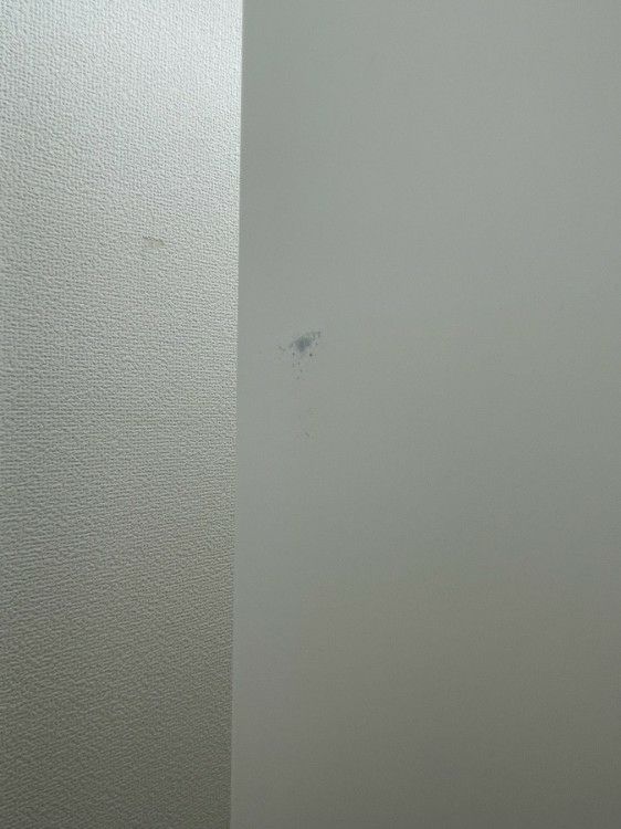 オカムラレクトラインシリーズ 両開き上下書庫2台セット 商品画像15