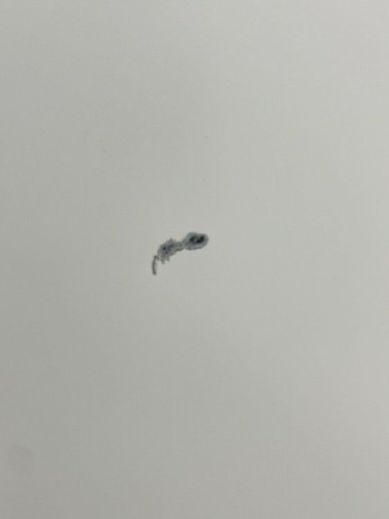 ウチダ（内田洋行）HS(ハイパーストレージ)シリーズ スライド書庫 商品画像15