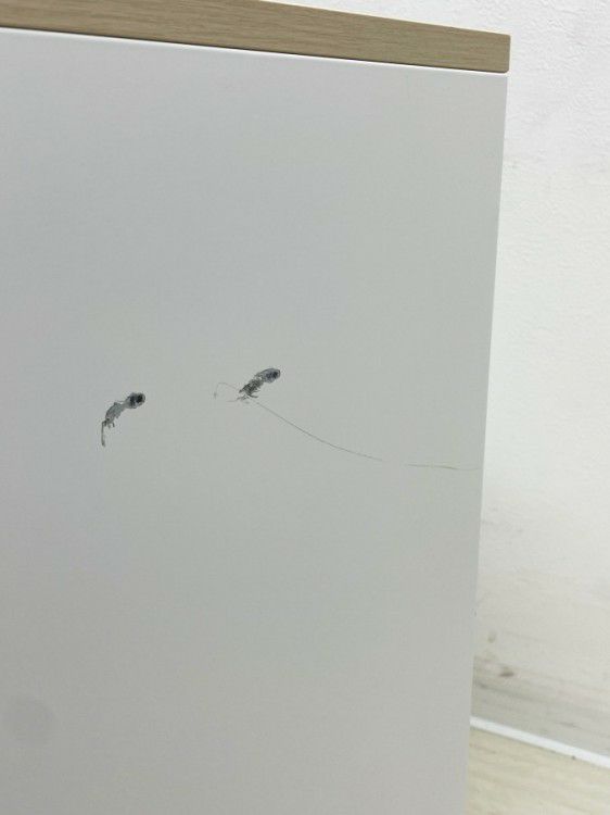 ウチダ（内田洋行）HS(ハイパーストレージ)シリーズ スライド書庫 商品画像16