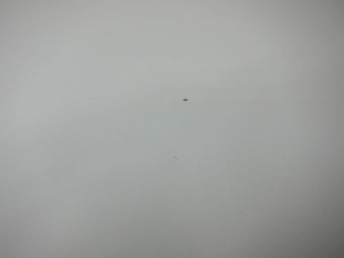 イナバリベスト（Rivest）シリーズ 天板付両開き書庫 商品画像8