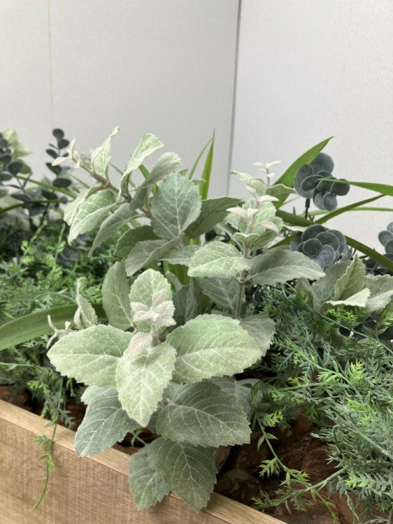 イトーキプランター 商品画像5