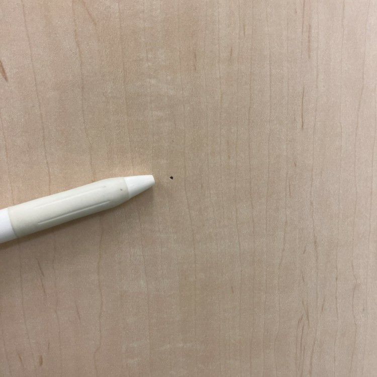 ウチダ（内田洋行）notio(ノティオ)シリーズ ミーティングテーブル 商品画像7