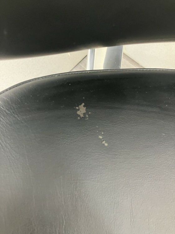 オカムラコンテッサ（Contessa）チェア 可動肘付コンテッサチェア 商品画像7