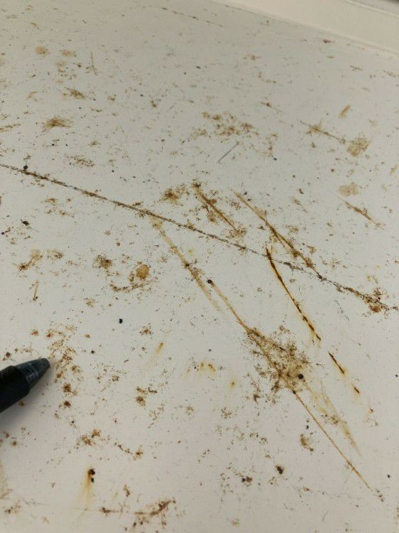 中量棚 商品画像10