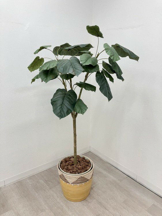 コクヨイングリーンシリーズ プラントボックス 商品画像7