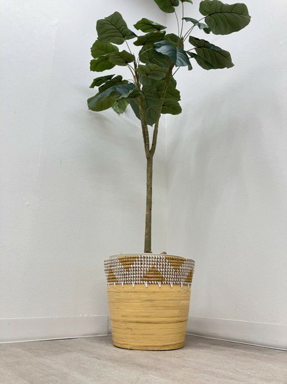 コクヨイングリーンシリーズ プラントボックス 商品画像5