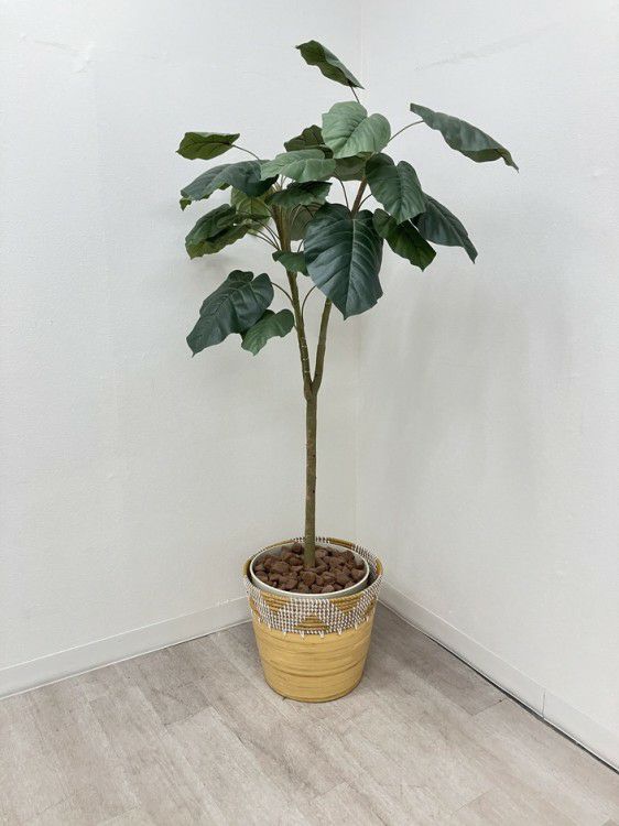 コクヨイングリーンシリーズ プラントボックス 商品画像6