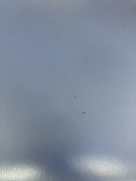 コクヨスタッキングチェア 商品画像7