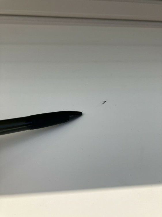 オカムラ6Jシリーズ 中軽量棚 商品画像9