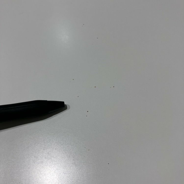 コクヨアリーナT（ALINA/T）シリーズ ミーティングテーブル 商品画像10