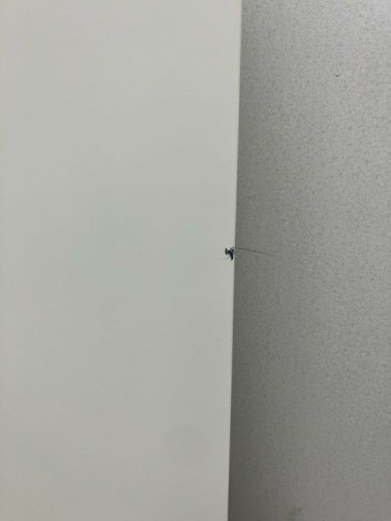 オカムラレクトラインシリーズ 天板付両開き書庫 商品画像9