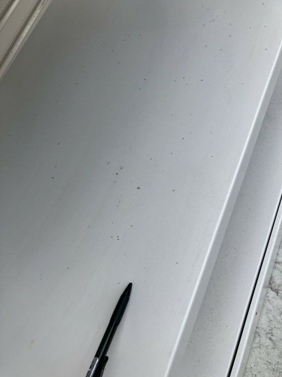 イトーキ中軽量棚 商品画像9