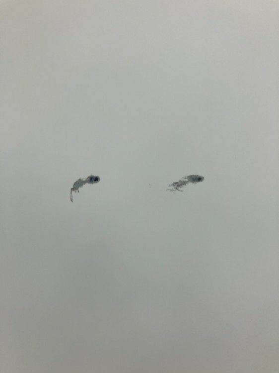 ウチダ（内田洋行）HS(ハイパーストレージ)シリーズ スライド書庫 商品画像5