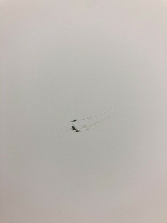 コクヨEDIA(エディア)シリーズ オープン書庫 商品画像11