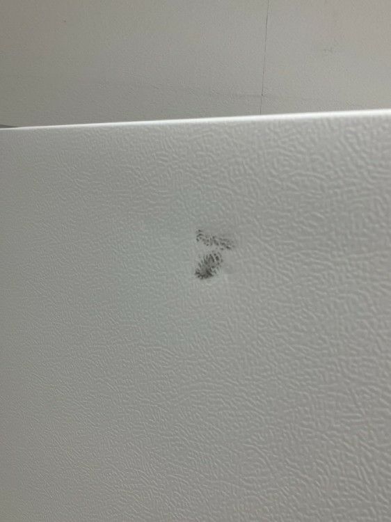 SHARP/シャープ3ドア冷蔵庫 商品画像4