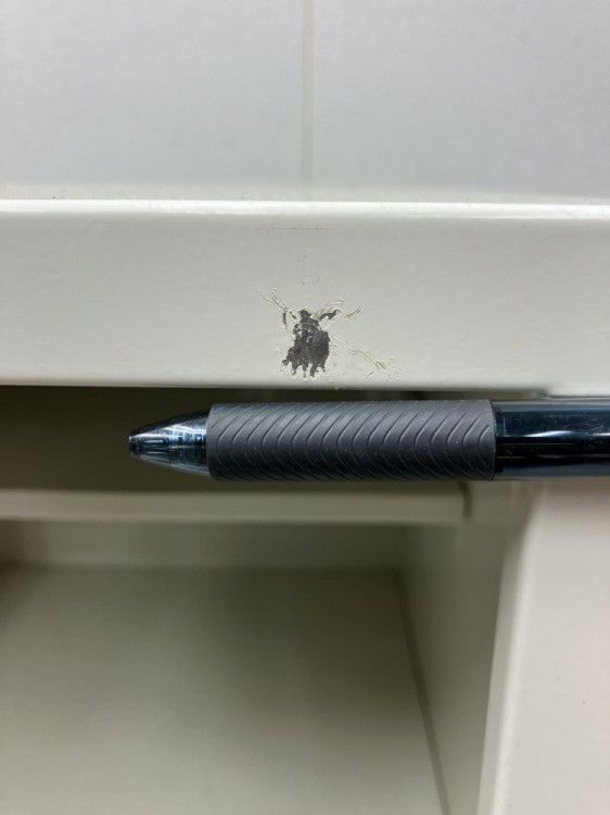 24人用オープンシューズロッカー 商品画像8