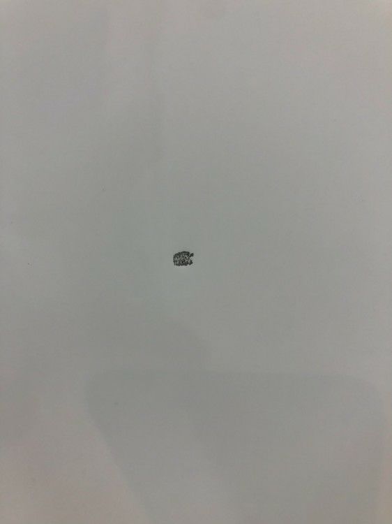 コクヨ2連ホワイトボードパーテーション 商品画像11