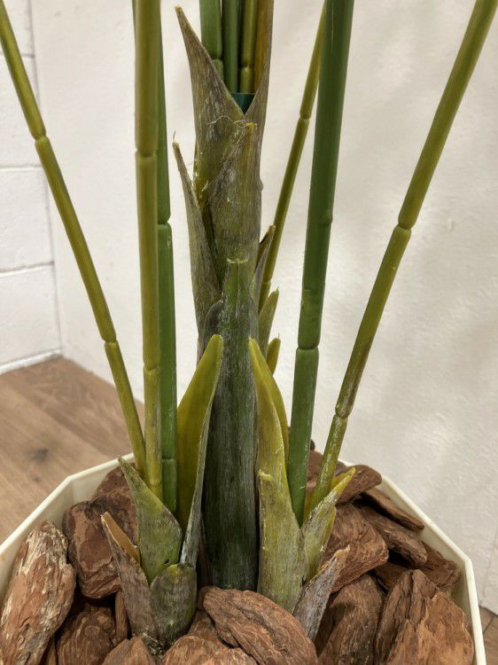 フェイクグリーン 商品画像4