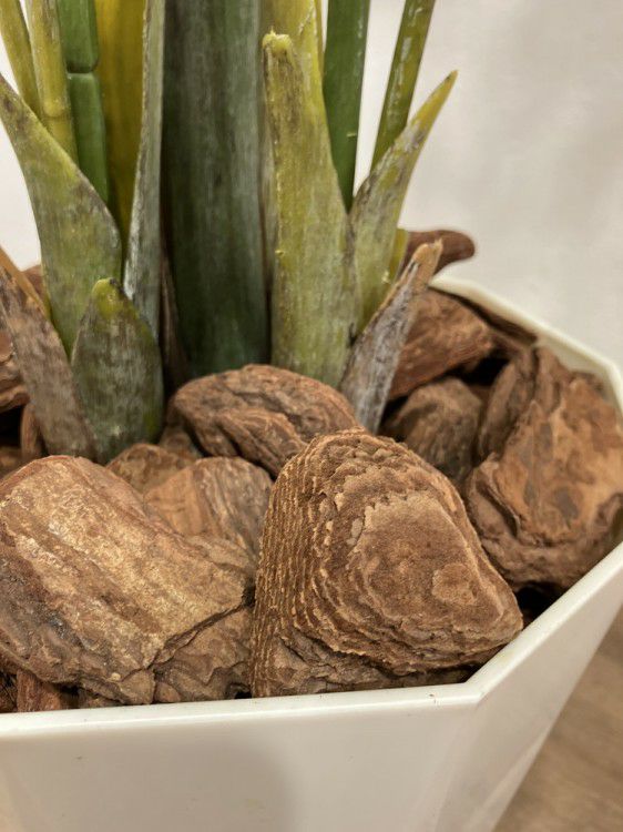 フェイクグリーン 商品画像5