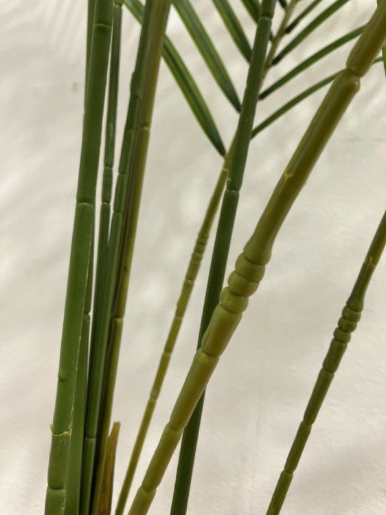 フェイクグリーン 商品画像7