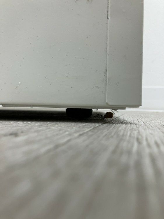 12人用シューズロッカー 商品画像8