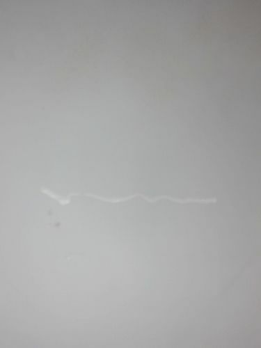 arper（アルペール）肘付きキャティファチェア 商品画像9