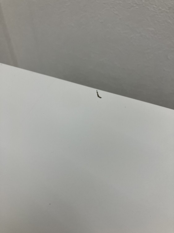 イトーキCZRシリーズ インワゴン 商品画像6