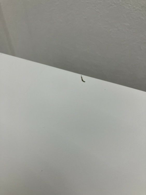 イトーキCZRシリーズ インワゴン 商品画像6