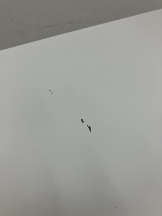 イトーキCZRシリーズ インワゴン 商品画像7