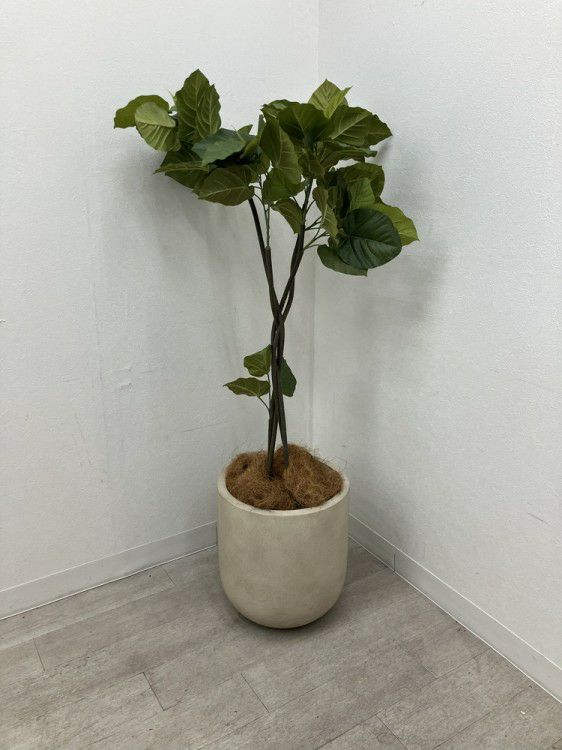 フェイクグリーン 商品画像1