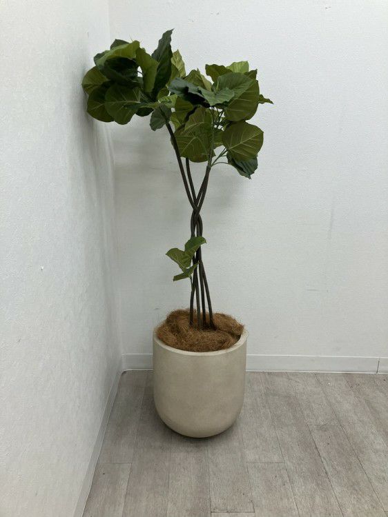 フェイクグリーン 商品画像2