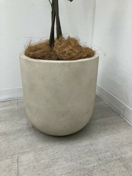 フェイクグリーン 商品画像3