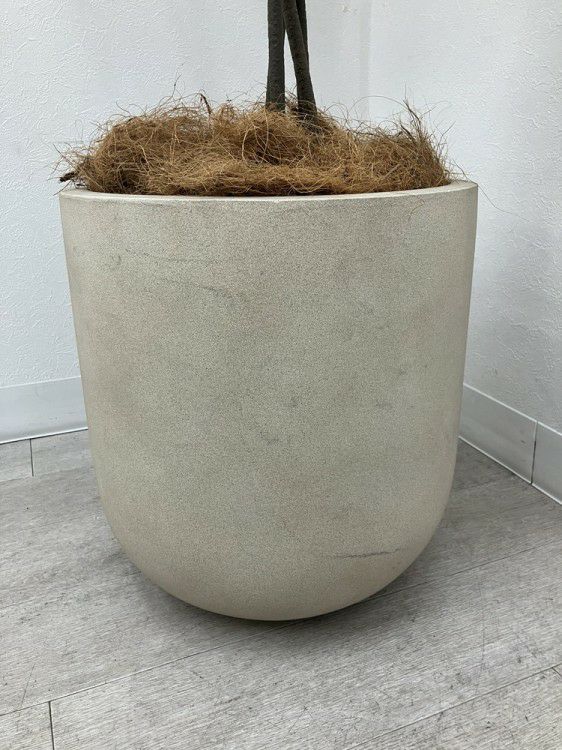 フェイクグリーン 商品画像4