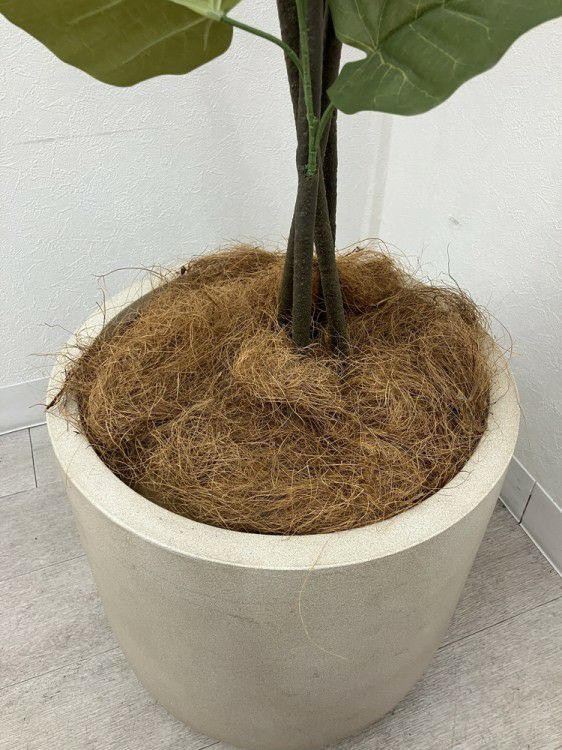 フェイクグリーン 商品画像5