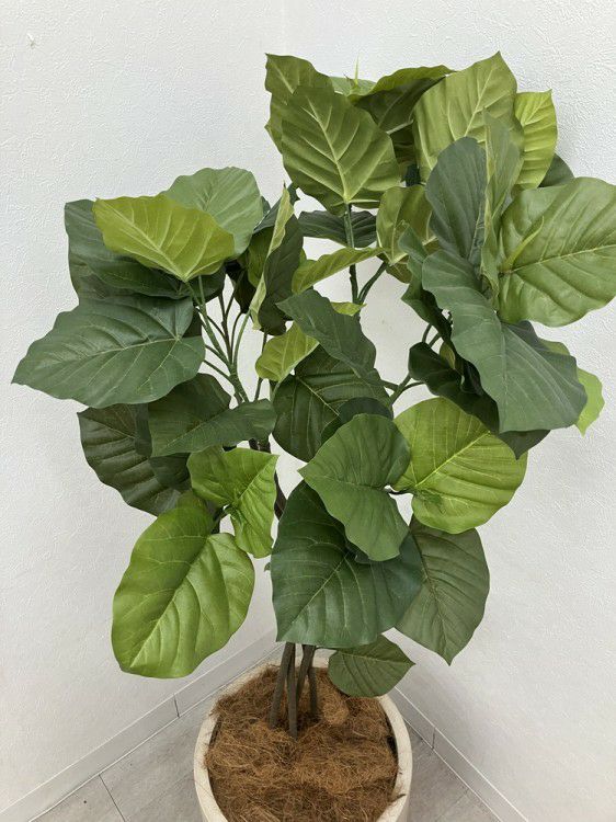 フェイクグリーン 商品画像7