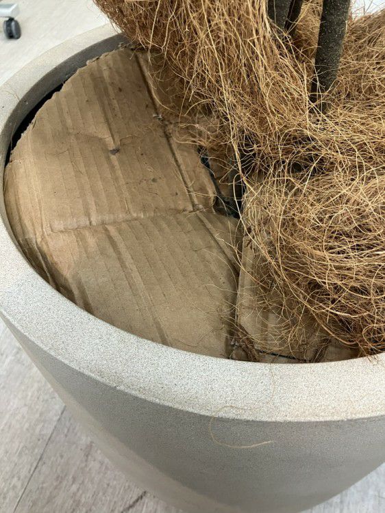 フェイクグリーン 商品画像9