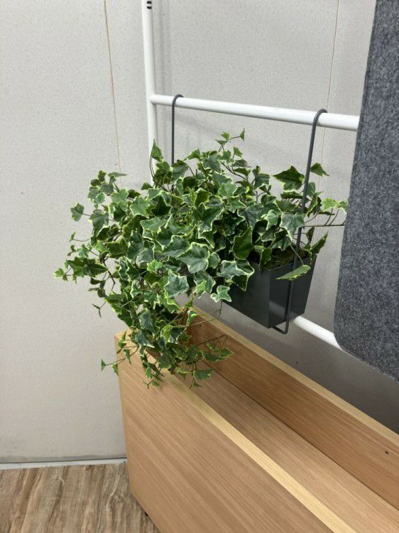 コクヨデイズオフィス（DAYS OFFICE）シリーズ パネル付プランターボックス 商品画像4