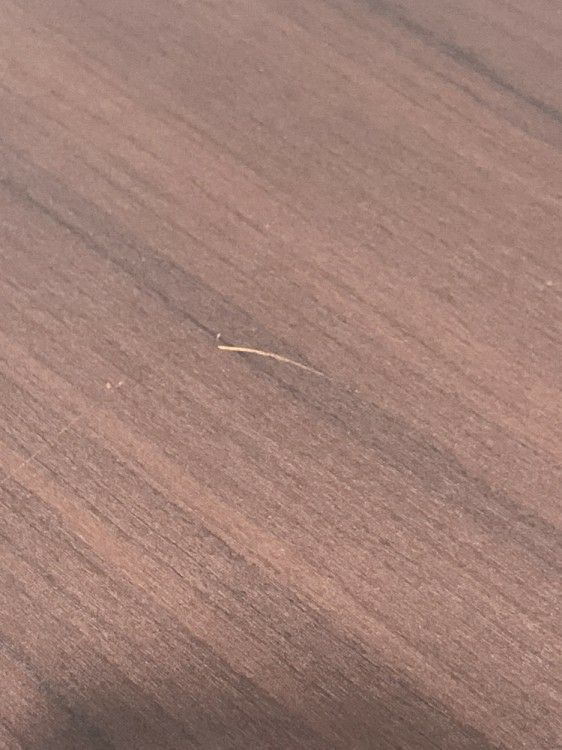 山善サイドスタックテーブル 商品画像9