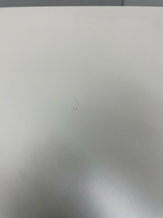 ライオン12人用ロッカー 商品画像11